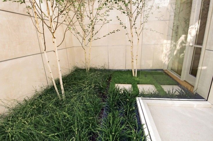 Casa con pequeño patio interior que hace de tragaluz